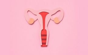 Menstruação: o que é, ciclo e ovulação - Toda Matéria