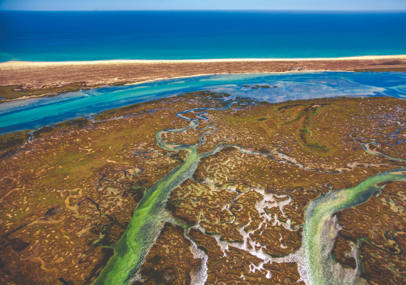 Ilha Deserta - Faro