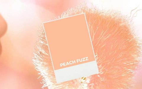 Peach Fuzz: a cor Pantone de 2024 com que queremos pintar o Mundo