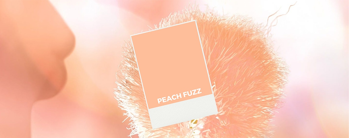 Peach Fuzz: a cor Pantone de 2024 com que queremos pintar o Mundo