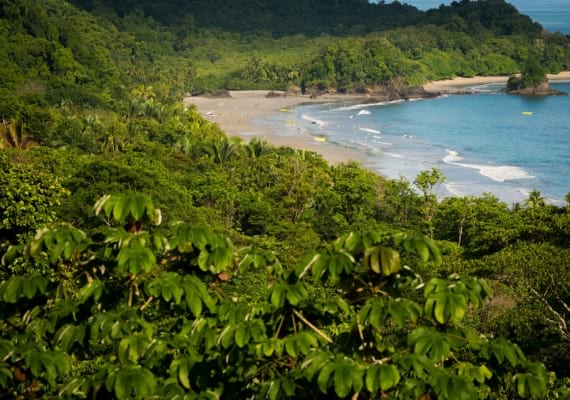 as praias mais saudáveis Praia Manuel Antonio, Costa Rica